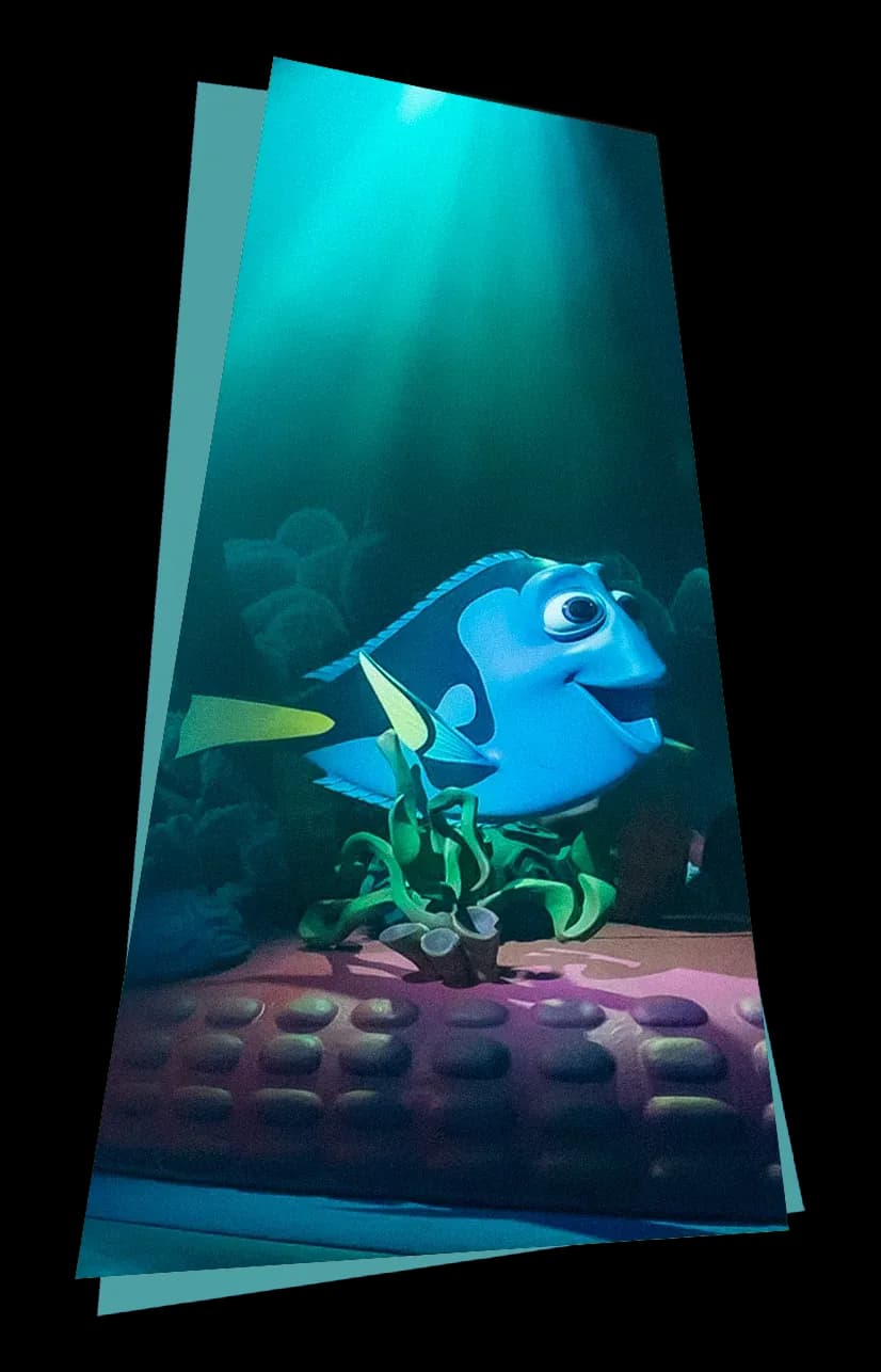 Dori Front